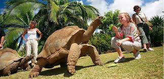 Rodrigues Island Discovery Tour